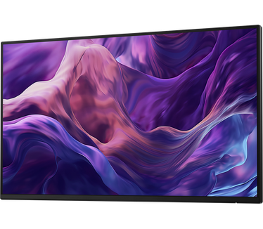 Dell P2425HE (zonder standaard) Zwart