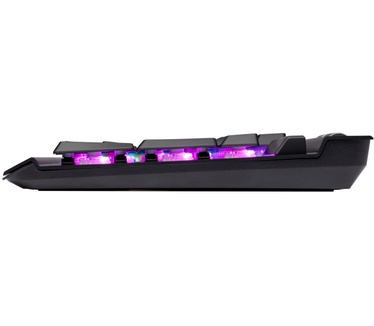 Corsair K70 RGB MK.2 Low Profile (Cherry MX Speed Low Profile, Qwerty US)