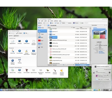 Dolphin en System Settings in KDE 4.4 screenshot (481 pix)