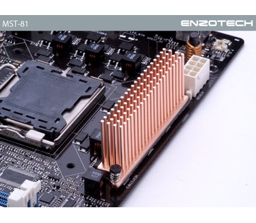 Enzotech MST-81