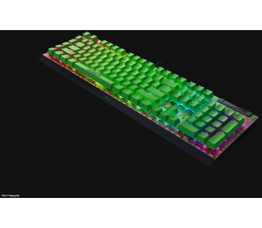 Razer BlackWidow V4 X