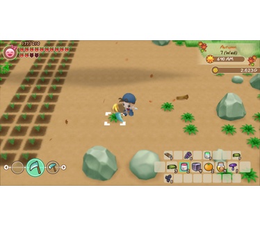 Story of Seasons: Friends of Mineral Town, Switch