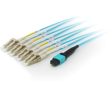 Equip MTP/MTP Trunk Fiber Optic Patch Cable, OM4, 7m