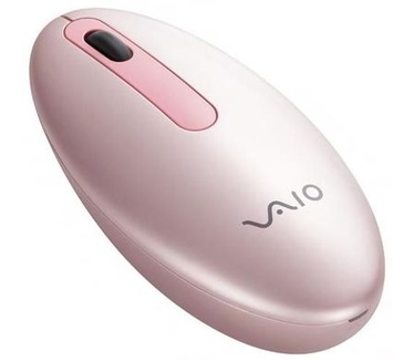 Sony VGP-BMS21