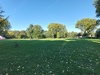 https://tweakers.net/i/qVSFPwfjavq4E8sgR6rQaUsnlR8=/100x75/filters:strip_icc():strip_exif()/f/image/9hLAb873CxK3falN8ahsAx7W.jpg?f=fotoalbum_small