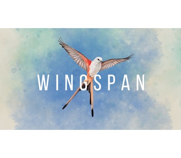 Wingspan