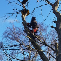 Afbeeldingslocatie: https://tweakers.net/i/qXLy3Od2hQIN0NKNPmBnQiTIjJU=/232x232/filters:strip_icc():strip_exif()/f/image/ADDzlF4XLeMTkigZNZqkf7dj.jpg?f=fotoalbum_tile