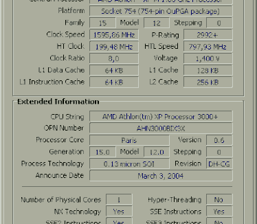 Central Brain Identifier screenshot (AMD Athlon XP-M 3000+ Model C Revision DH7-CG)
