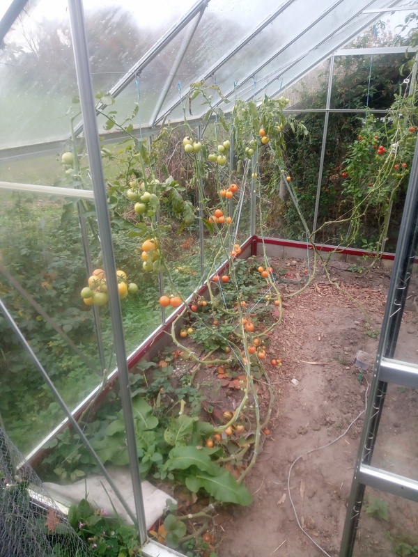 Afbeeldingslocatie: https://tweakers.net/i/qavSNiqKarLWDoEFsWLzW5Wgkyo=/x800/filters:strip_icc():strip_exif()/f/image/tknN27NqNOK8eqfK2nZGZh9F.jpg?f=fotoalbum_large