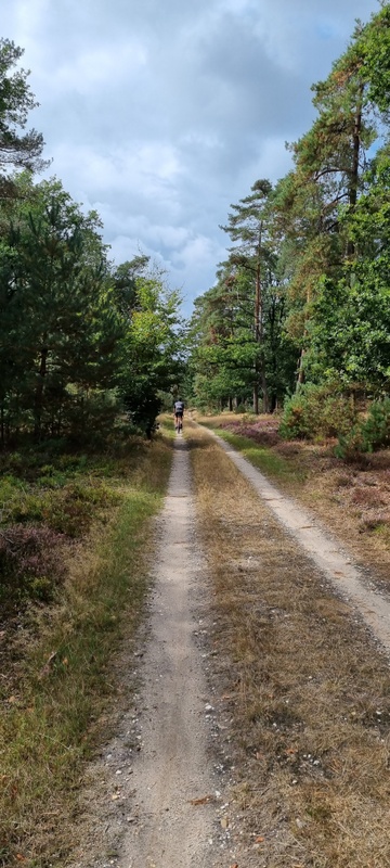 Afbeeldingslocatie: https://tweakers.net/i/qbGDfJDcy-eyCtW7psX0q4iXRV8=/x800/filters:strip_icc():strip_exif()/f/image/MGSs7OfthQuU6VwujPCdGePs.jpg?f=fotoalbum_large