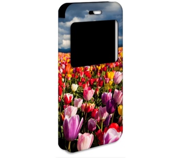 B2Ctelecom IP618