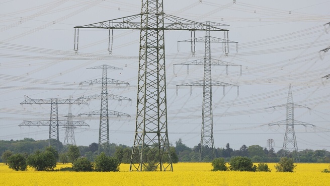 Elektriciteitsnet stroomnet netcongestie. Bron: Sean Gallup / Getty Images