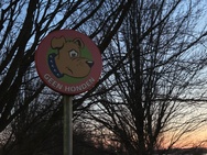 Xiaomi 17 Cameratest - Twee keer zoom