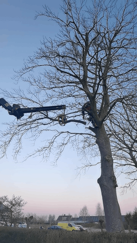 Afbeeldingslocatie: https://tweakers.net/i/qendc3_FShXLNlWp8uyjMvgxj78=/x800/filters:strip_exif()/f/image/pUtTVyyV4LsJX3qjPNb2mSkO.png?f=fotoalbum_large