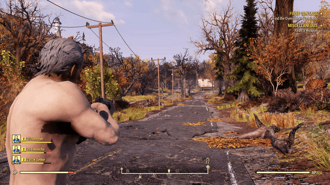 Preview Fallout 76