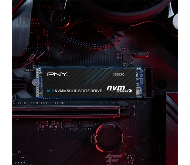 PNY CS2130