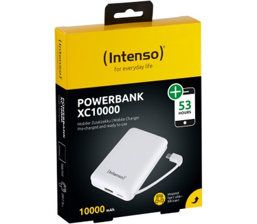 Intenso 7314532