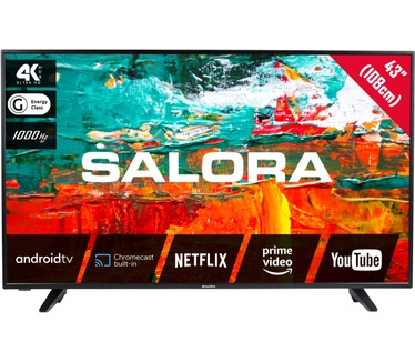 Salora 43BXX9000
