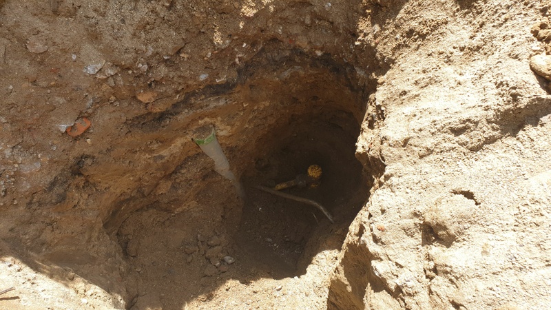 Afbeeldingslocatie: https://tweakers.net/i/qkd731BqlYyUZKdDVjqSmv-fS34=/800x/filters:strip_icc():strip_exif()/f/image/gOiZgMG8ltZGxtMjZ7lDBb5R.jpg?f=fotoalbum_large