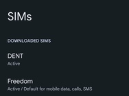 Dualsim met e-sim op Pixel 7, bron: Tornado15550/Twitter