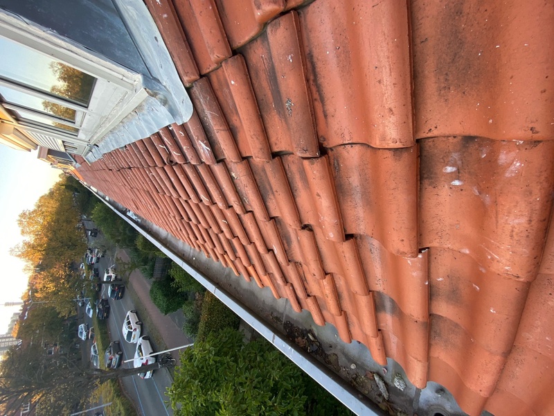 Afbeeldingslocatie: https://tweakers.net/i/qpFRF5N_9RSG2HyIb_VercFCxck=/800x/filters:strip_icc():strip_exif()/f/image/YDZnq1sVG4C5lNrblyT1u7gl.jpg?f=fotoalbum_large