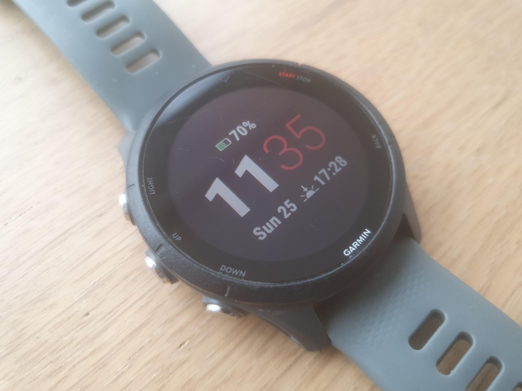 Garmin Forerunner 255 (Grijs) aangeboden - Vraag & Aanbod - Tweakers