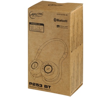 Arctic P253 BT (Gen 2) - Bluetooth Sports Headphones