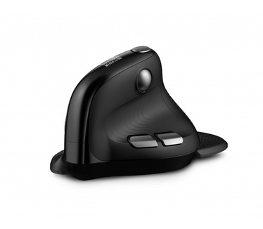 Urban Factory ERGO Max