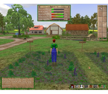 The Farm