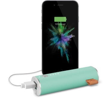 Fresh 'n Rebel Powerbank 3000mAh Mint Groen