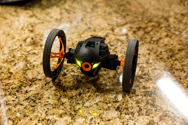 Parrot Sumo