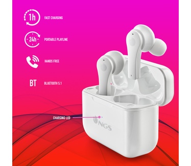 NGS ARTICA BLOOM