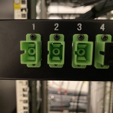 Afbeeldingslocatie: https://tweakers.net/i/qxNO7tqISKsdvmNkERNPabGF78A=/232x232/filters:strip_icc():strip_exif()/f/image/qgS9tYg9xaD3bU9t8BaaelTf.jpg?f=fotoalbum_tile