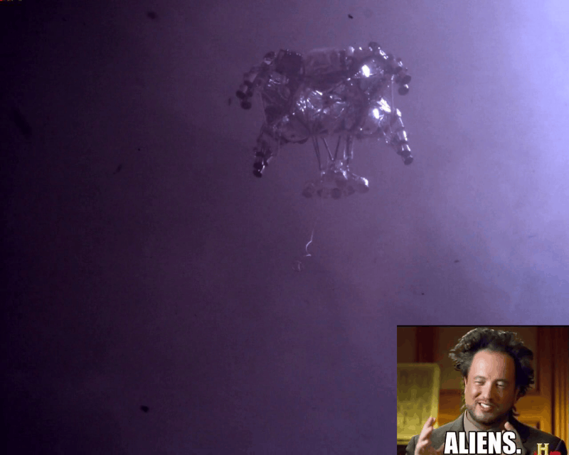 Afbeeldingslocatie: https://tweakers.net/i/r4Rv-08TMwgquQy63IAcJvRdUSs=/full-fit-in/4000x4000/filters:no_upscale():fill(white):strip_exif()/f/image/lZJrEGAVIbPJ9dDGzHaABFdj.png?f=user_large