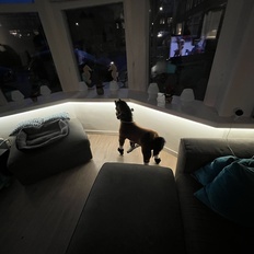 Afbeeldingslocatie: https://tweakers.net/i/r4ptqcNRkNxUALJvnuZnGTcx9oI=/232x232/filters:strip_icc():strip_exif()/f/image/JHTcTXK65E2RUvfVF7JwddOa.jpg?f=fotoalbum_tile