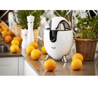 Adler AD 4013w