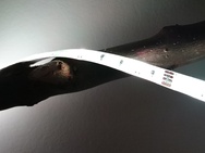 Smartphones - LED strip 1
