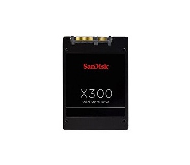 Sandisk X300 256GB