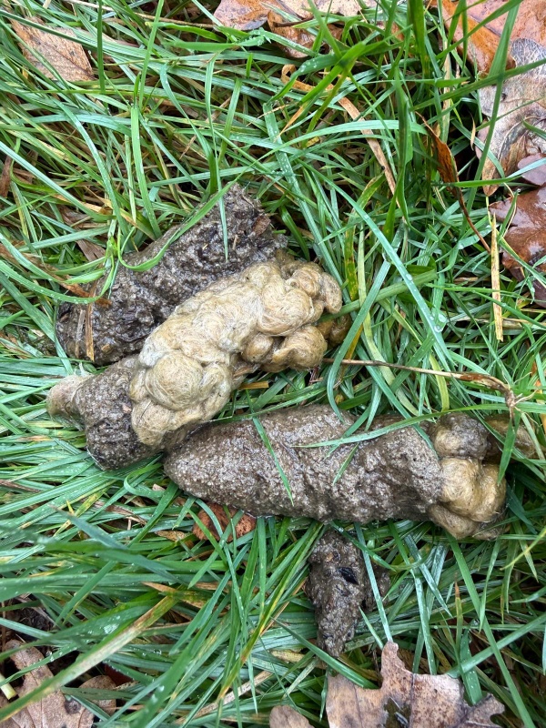 Afbeeldingslocatie: https://tweakers.net/i/rBioZUzzjzWRrs2kyCYtk_TRehM=/x800/filters:strip_icc():strip_exif()/f/image/T1lSKEwf8NcW4HcLLFBkeLGj.jpg?f=fotoalbum_large