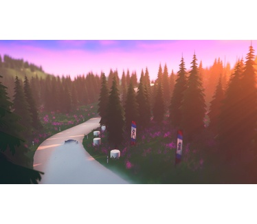 Art of Rally Deluxe Edition (Switch)