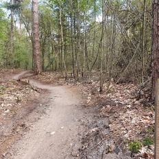 Afbeeldingslocatie: https://tweakers.net/i/rDP3KmR-HBYtjMK14Mpt1EFmEhE=/232x232/filters:strip_icc():strip_exif()/f/image/g8Z3qyKxGVAPhcha4yLv9Uj8.jpg?f=fotoalbum_tile