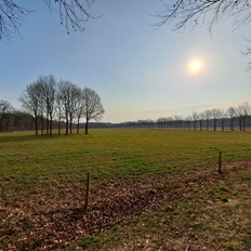 Afbeeldingslocatie: https://tweakers.net/i/rGDyTwnSa8N8DhfPSx39UZ8b-u4=/232x232/filters:strip_icc():strip_exif()/f/image/YAOT0qT4XzwPmVlGxkTnt0jc.jpg?f=fotoalbum_tile
