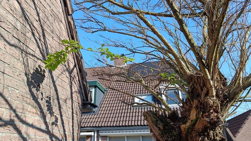 Afbeeldingslocatie: https://tweakers.net/i/rHBkdVMOCG6lsD1-UO_H9okrN68=/800x/filters:strip_icc():strip_exif()/f/image/RgMGB1FNbc5xOid3VQNRa1wx.jpg?f=fotoalbum_large