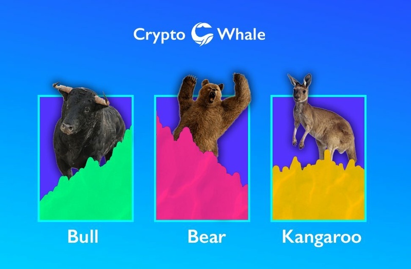 Afbeeldingslocatie: https://tweakers.net/i/rIeimPL_tV7gGIzCpUjK4MQNWhw=/800x/filters:strip_icc():strip_exif()/f/image/Bf1BQ5hD5vlxlqg9MFt53L86.jpg?f=fotoalbum_large