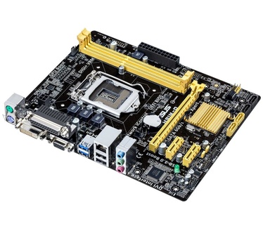 Asus H81M-D