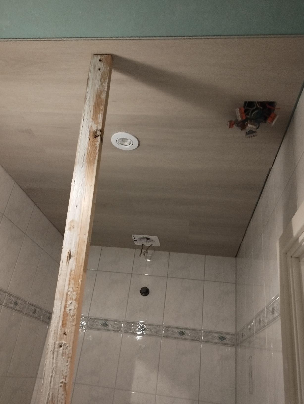pvc laminaat op plafond ipv groene gipsplaat Bouwen en klussen