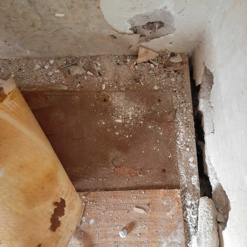 Afbeeldingslocatie: https://tweakers.net/i/rOs7P0WFC0-Kq9CDbOlL6lb1Iqg=/800x/filters:strip_icc():strip_exif()/f/image/kOcRTJUvljTAGNAROZrEzOg9.jpg?f=fotoalbum_large