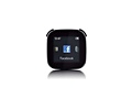 Sony Ericsson LiveView