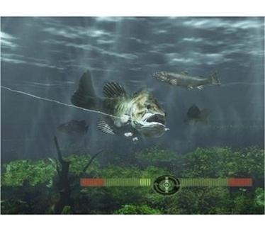 Rapala Fishing Frenzy 2009, PlayStation 3