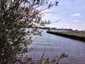 Foto gemaakt met Huawei Ascend Mate